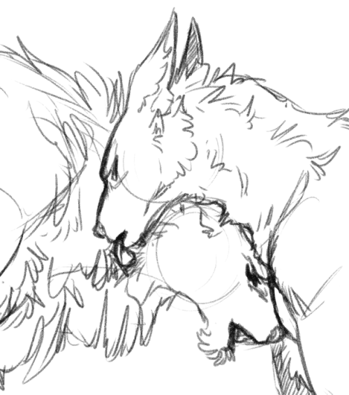 Been doodling a lot of random Skyrim past few days hehe. Lots of Companions/werewolves and BALGWOOF,