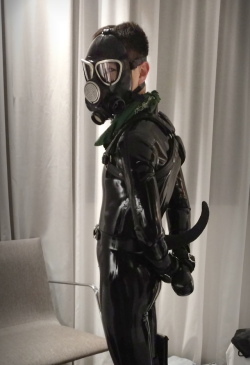 pup-tiger:  Shhh…pup in incognito mode.Getting ready to go out in Berlin for BLUF.
