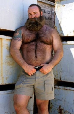 topshelfmen:  Teddy Mark, founder of “Bear” magazine and maybe the whole bear cult  Teddy Mark, is one hadsome, sexy, muscular looking man. His beard is awesome, as are his pecs, nips and hairy body - WOOF