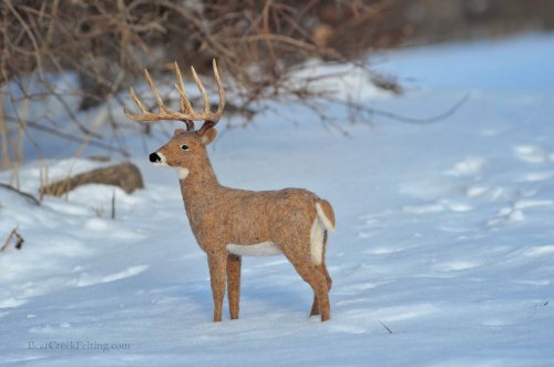 Needle Felted Whitetail Buck by Teresa Perleberg