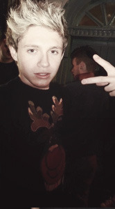 itshoran:  Niall Horan Alphabet:  ∟D » Drunk. “we both know u r gonna be drinkin