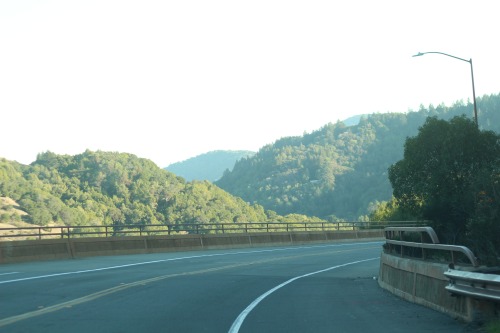 Driving out of Samuel P Taylor Park. Photo cred to Cyrus