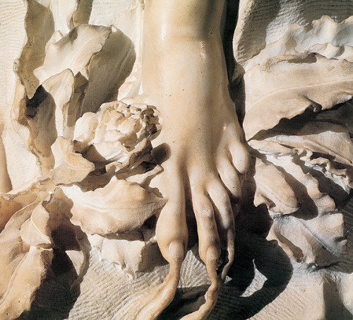 tritticodelledelizie:Gian Lorenzo Bernini, Apollo e Daphne.from Ovid’s Metamorphoses