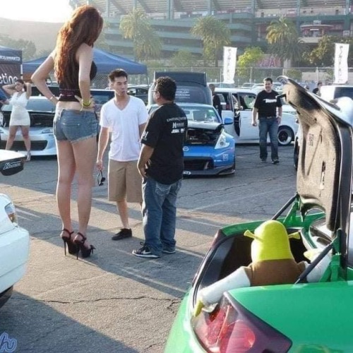 kaijuno:1800ruvibing:kaijuno:There’s a lot to see here 