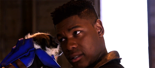 keery-joseph:  Pacific Rim Puprising ft. John Boyega and PUPPIES  