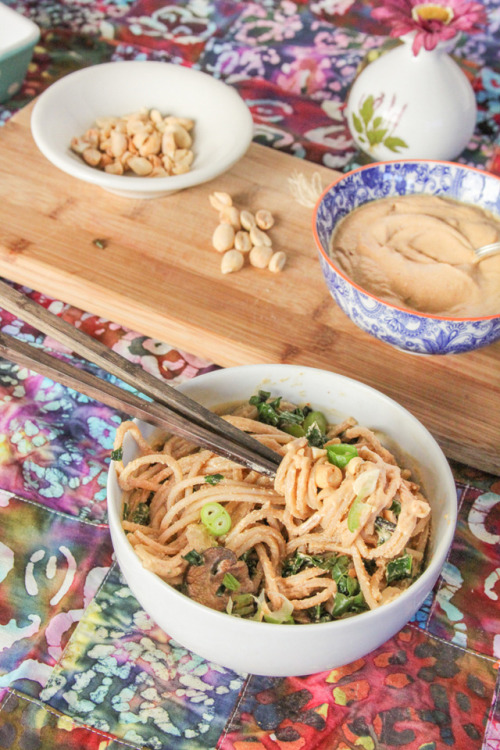 noodles w/veggies and spicy szechuan peanut sauce