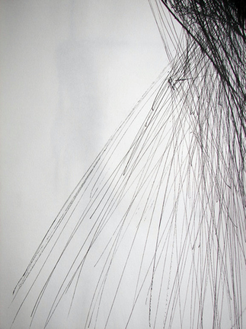 likeafieldmouse:  Malgorzata Bieganska - Chaotic Thoughts (2012)