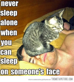 lol-coaster:  funny cat sleeping on facehttp://lolcoaster.org 