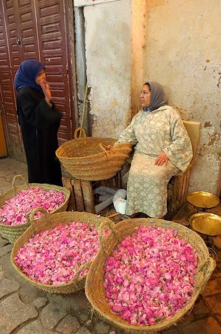 Real Morocco :  Women selling roses in the souk, Meknes, Morocco.
