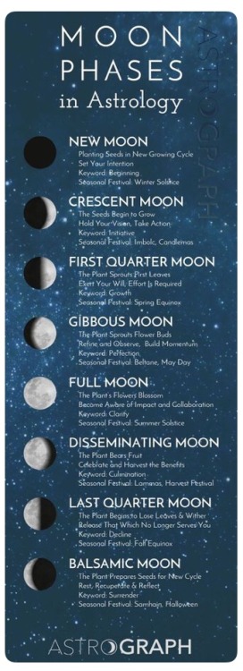 Moon phases in astrology✨✨ By ASTROGRAPH