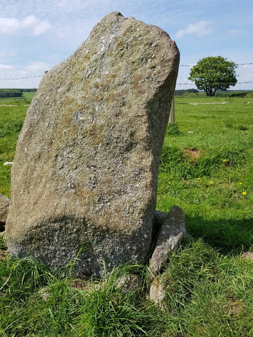 Strichen Recumbent Stone Circle, Strichen, Scotland, 29.5.18. This recumbent circle has been displac