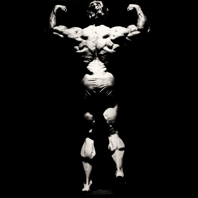 Arnold back and biceps hotsell