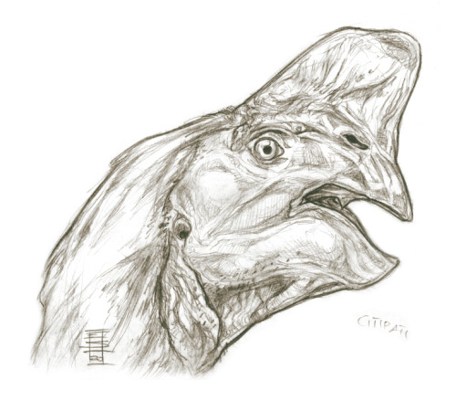 Sketchy Dino Head_Citipati. Pencils, 2020.References: Greg S. Paul.