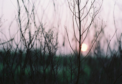 natureac:This blog will make you feel at peace