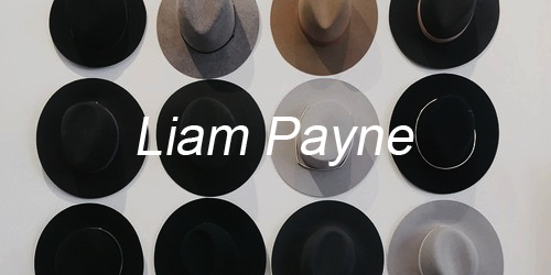 lhrry:  liam aesthetic 1/?