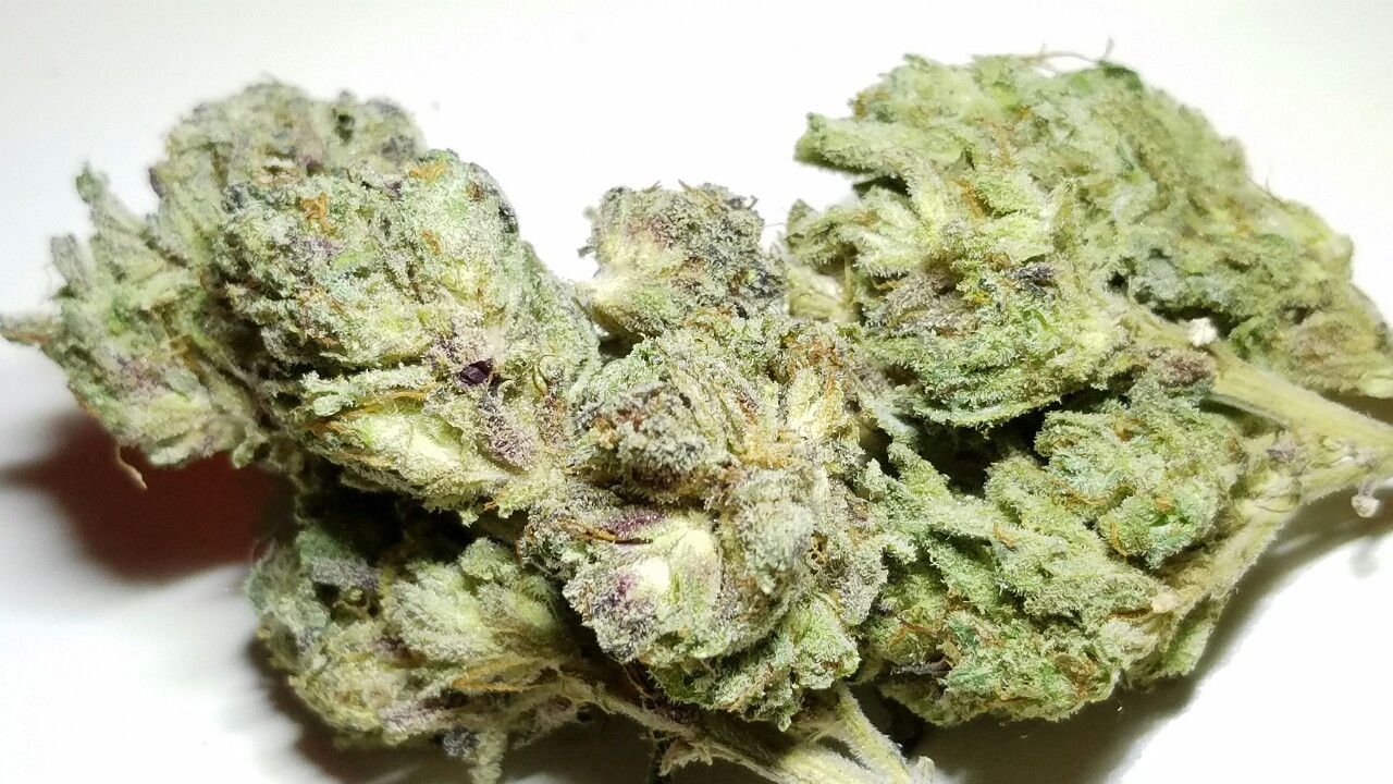 420stationusa:  Stay High And Check Out Our Store Here!!