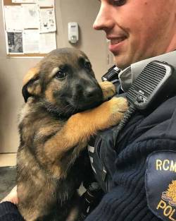 awwww-cute:  Nervous cadet reporting for