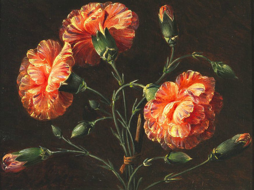 simena:I. L. Jensen