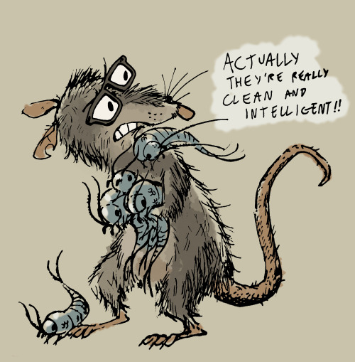 bedupolker:  Rat pets