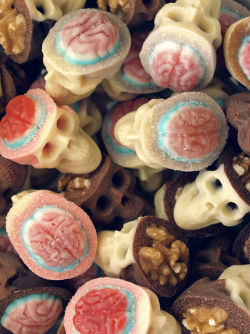 carrioncoyote:  sellyourseconds:  myampgoesto11:  Chocolate Skulls Gone Nuts by Ruth and Sira Garcia | On Tumblr My Amp Goes To 11: Twitter | Instagram  Omg  It makes me really happy to know I’m not the only one who thinks walnuts look like brains,