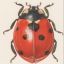 bug1247