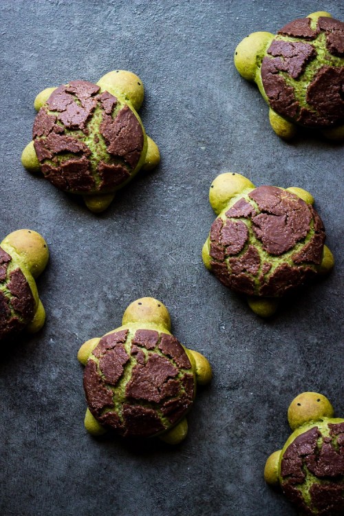 fattributes: Matcha Milk Bread Turtles with Chocolate Dutch Crunch