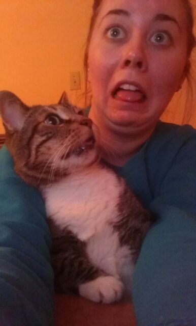 thecatsmeow90:  Working on my paper is hard on both of us. 