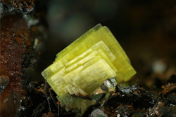 Underthescopemineral:  Uranocircite               Ba(Uo2)2(Po4)2·10H2Olocality:krunkelbach