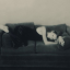 anotherlife-70