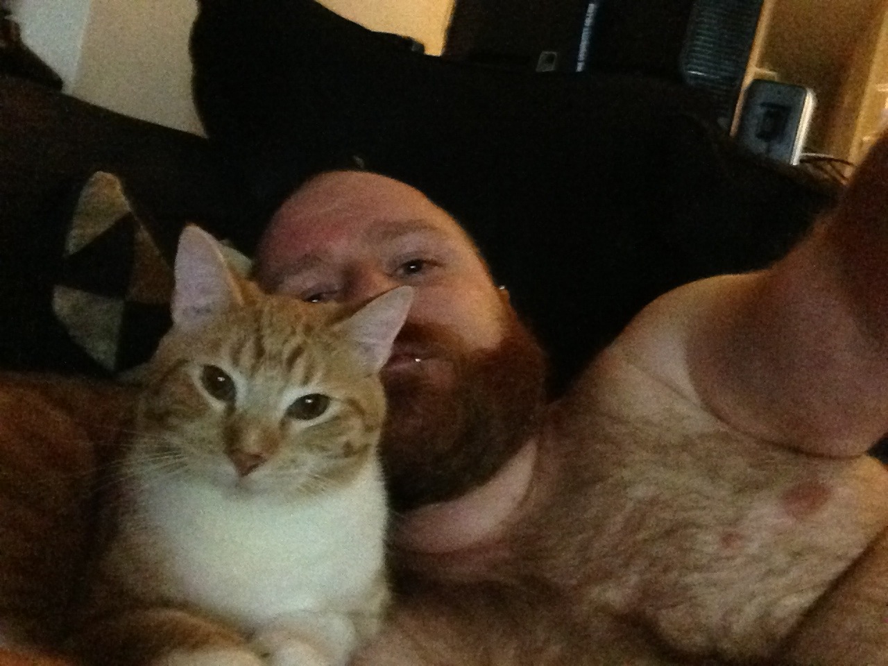 nickthegeekbear:  Booty right next to me, rubbies on my legs, and a sweet cat purring