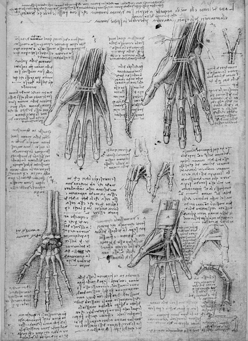 chaosophia218:Anatomical studies and drawings by Leonardo da Vinci.  #Machinery