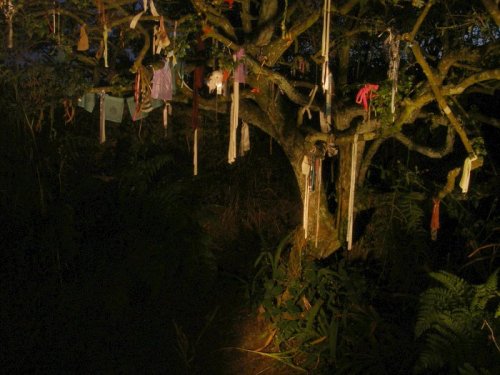 dianaandpansson: Clouties British strips of cloth tied to trees near holy wells or sacred places. T