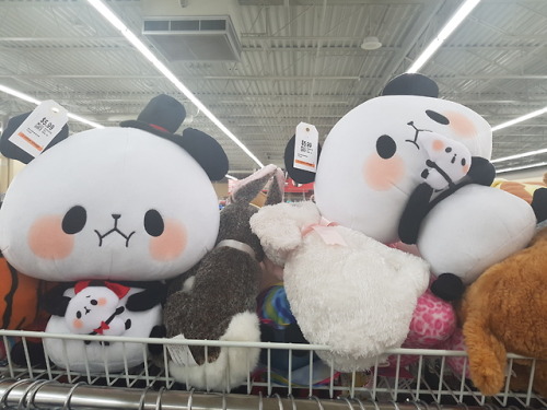 Looks like someone donated some of there Japanese plushie collection. I wanted to take them all home