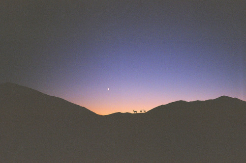 http://cherubesque.tumblr.com/post/82371423212