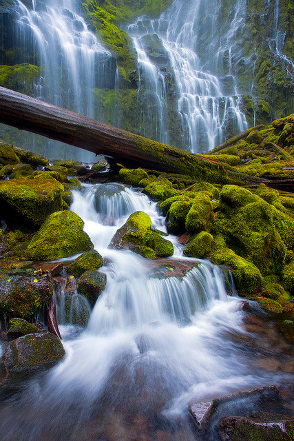 dranilj1:  Proxy Redux by Stephen Oachs (ApertureAcademy.com) on Flickr.