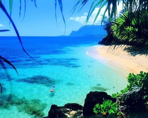 islandjon:  Not just body parts. IslandJon has the entire hot package of the nastiest, tastiest real men and gorgeous boys. In our tropical paradise.  http://IslandJon.tumblr.com  - only the best!  FOLLOW and REBLOG to join the party!