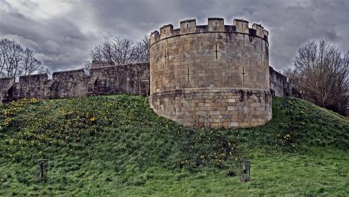 The Walls have Daffodils. York. England.