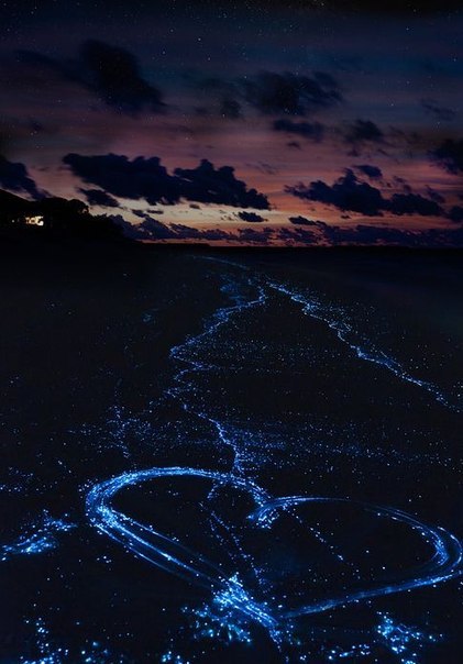 the-real-eye-to-see:  Love lights