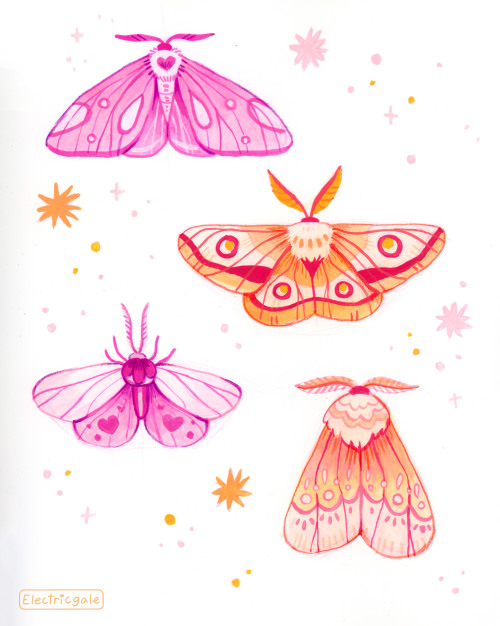 electricgale:A whole page of moths! I have been pretty fond of my pink and orange paints lately. 💖 Also, if you like the moths I’ve been painting lately you might be interested in the free live demo I have planned with Etchr on January 15th at 4pm