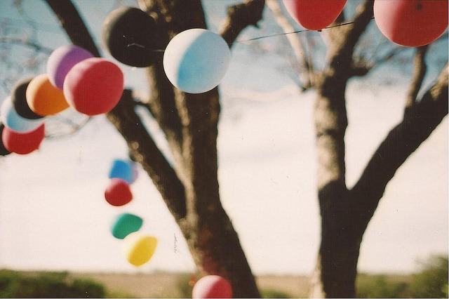 attaches:  untitled by C e l e b r a t o r i e s on Flickr. 