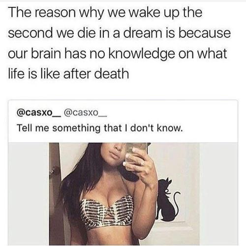 browsedankmemes: Don’t wake me up next time (via /r/BlackPeopleTwitter)
