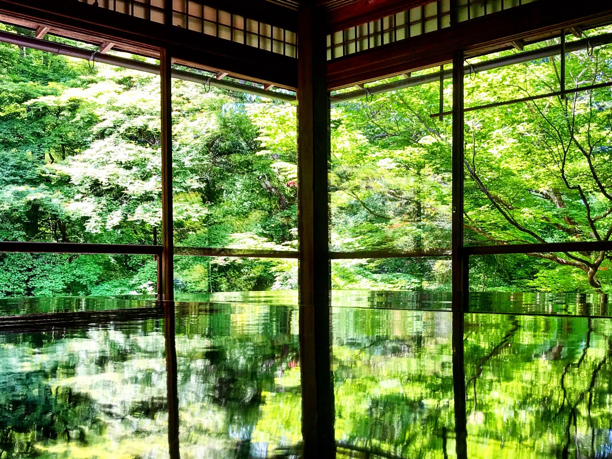 瑠璃光院 Explore Tumblr Posts And Blogs Tumgir 瑠璃光院 Explore Tumblr Posts And Blogs Tumgir