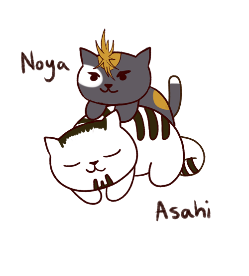 arierruu:  I have an obsession with Neko Atsume and Haikyuu…sooo this happened..