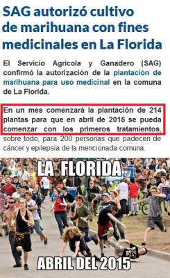 jaidefinichon:  la florida, en un futuro no muy lejano… a fumaaaar ctm!!!! xd 