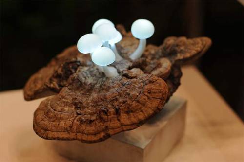 hicockalorum:leslieseuffert: Yukio Takano (Japan) Mushroom Light Lampsi’m never goin