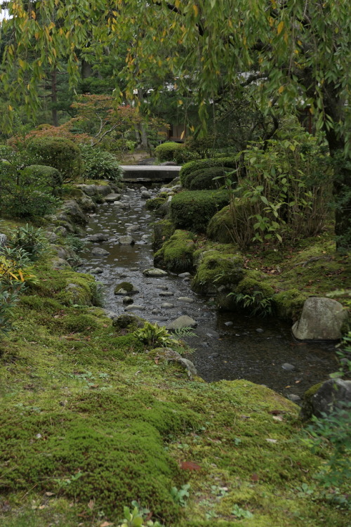 Meticulous BeautyKenroku-en, Kanazawa, JapanOctober 2018