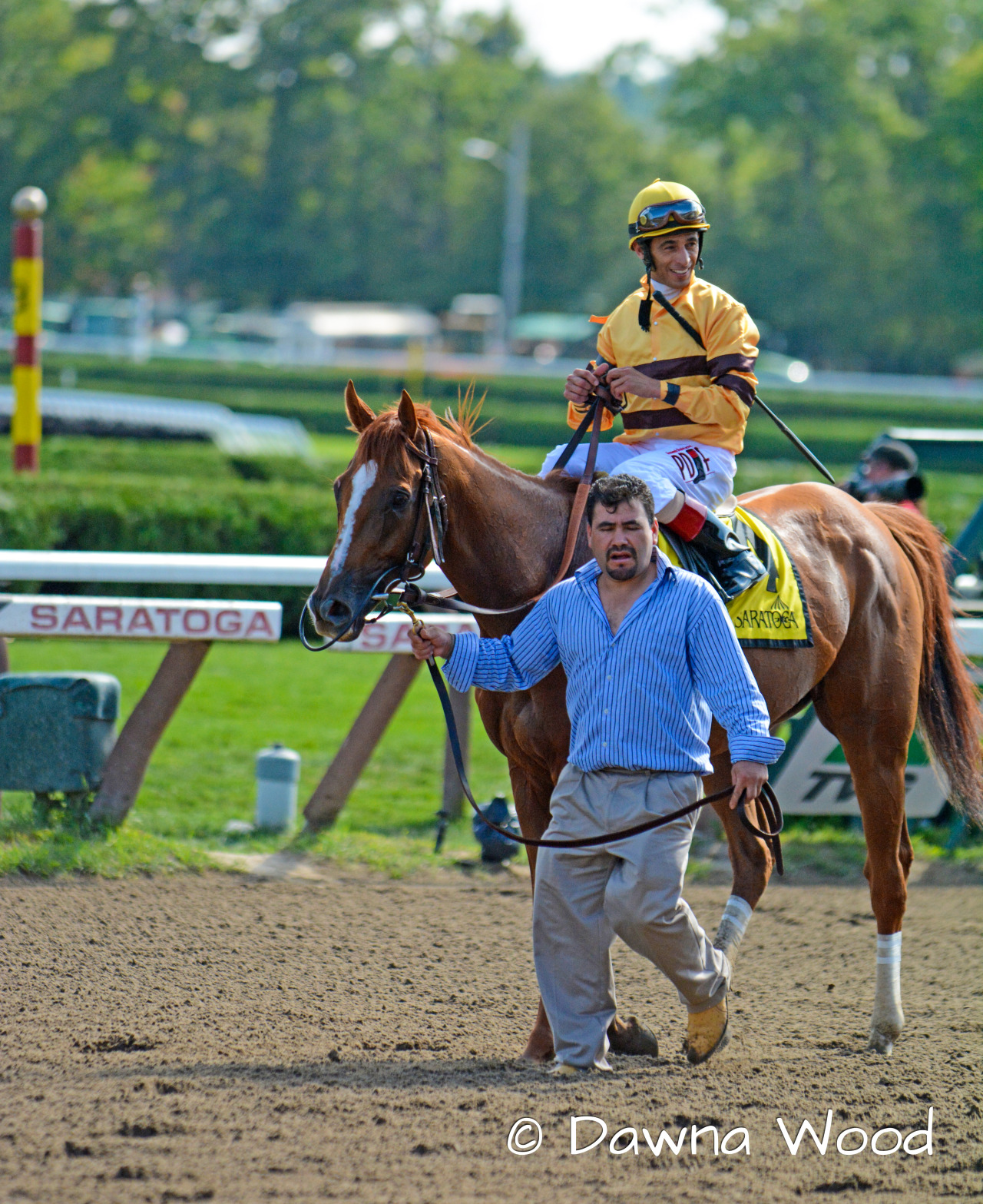 Wise Dan returns to the winners’ circle at Saratoga following a courageous win in the Bernard Baruch Handicap (II) over Optimizer.