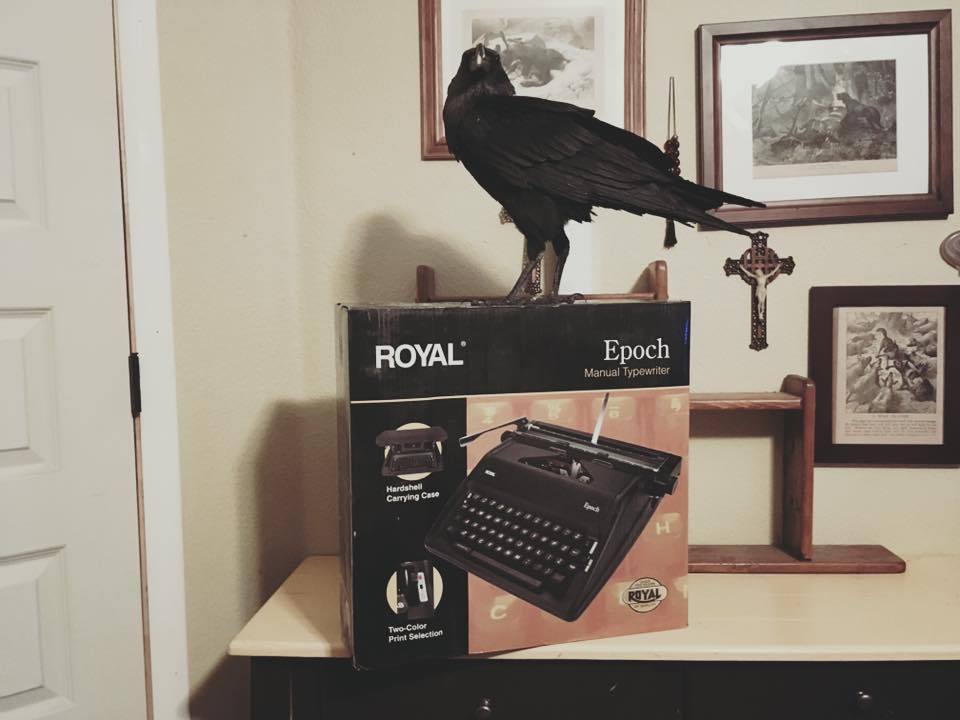 camelsandfriends:Your Edgar Allan Poe start-up kit has arrived