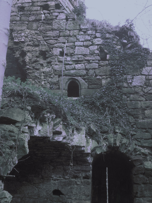 A few photos for my current project looking into the folklore and area around yester castle. 