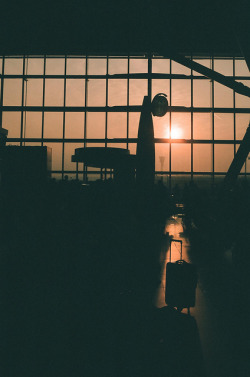 m-00nrise:  Terminal 5, Heathrow by georgefoote on Flickr..